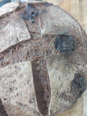 Chocolate Sourdough Loaf