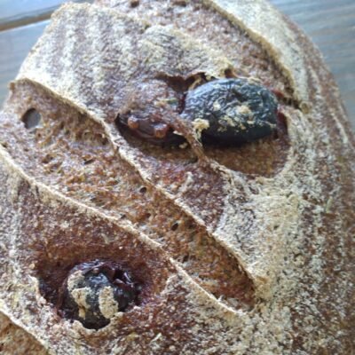 Kalamata Olive and Tarragon Loaf